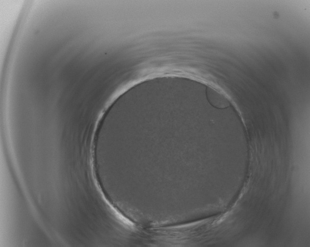 X0000062631525200512230959