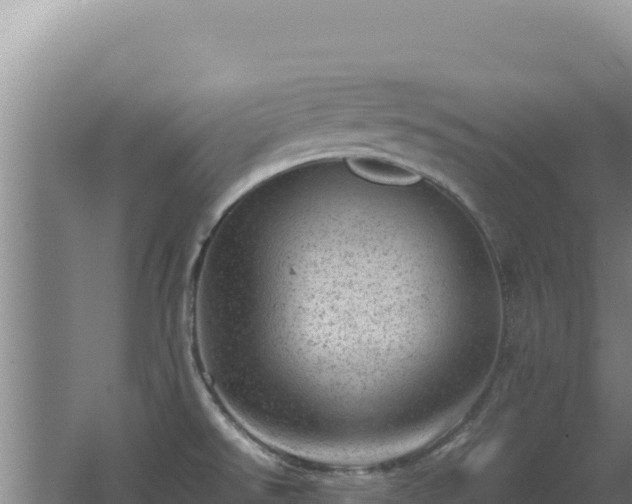 X0000062631526200512230959