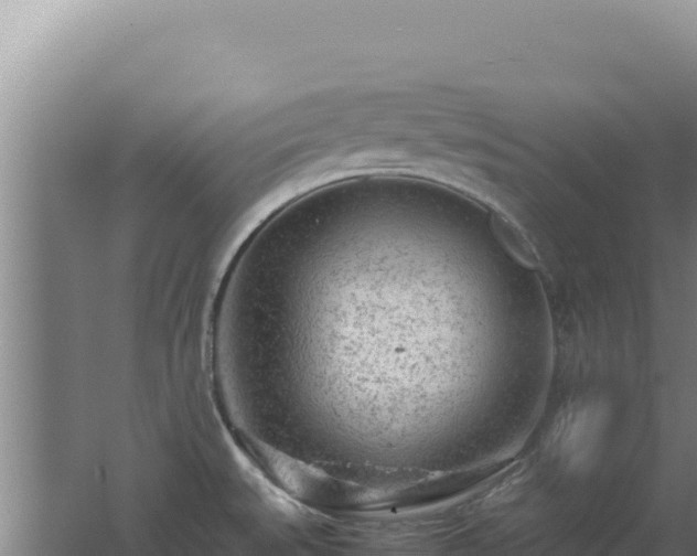 X0000062631527200512230959