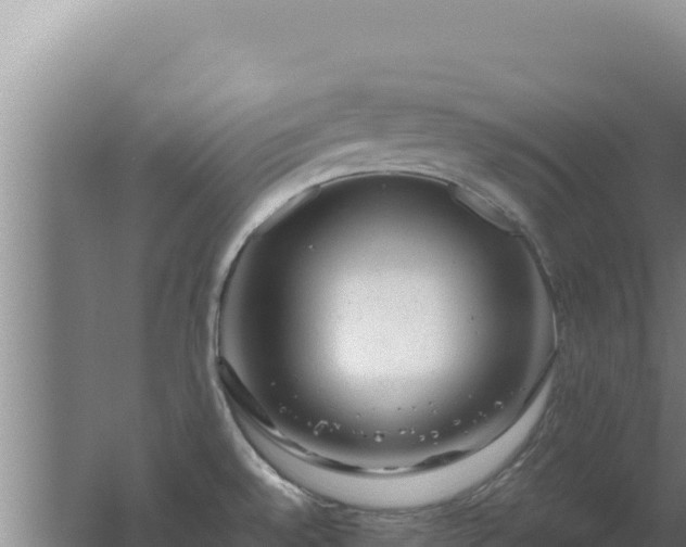 X0000062631528200512230959