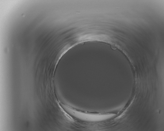 X0000062631529200512230959