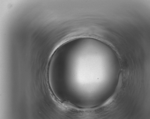 X0000062631530200512230959