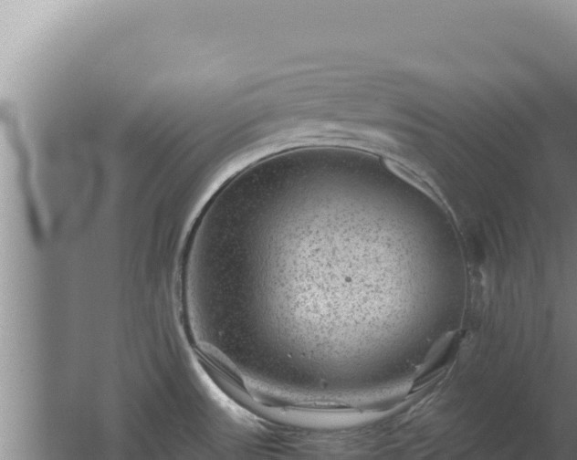 X0000062631531200512231000