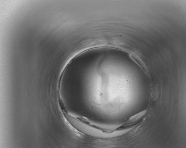 X0000062631532200512231000