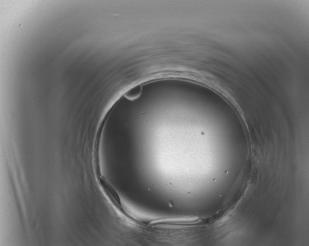 X0000062631533200512231000