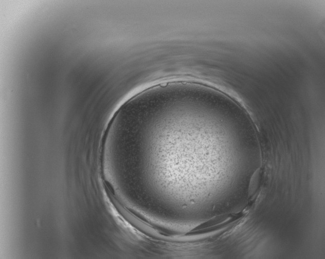 X0000062631534200512231000