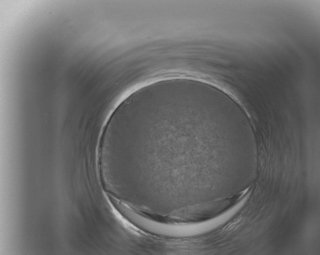 X0000062631535200512231000