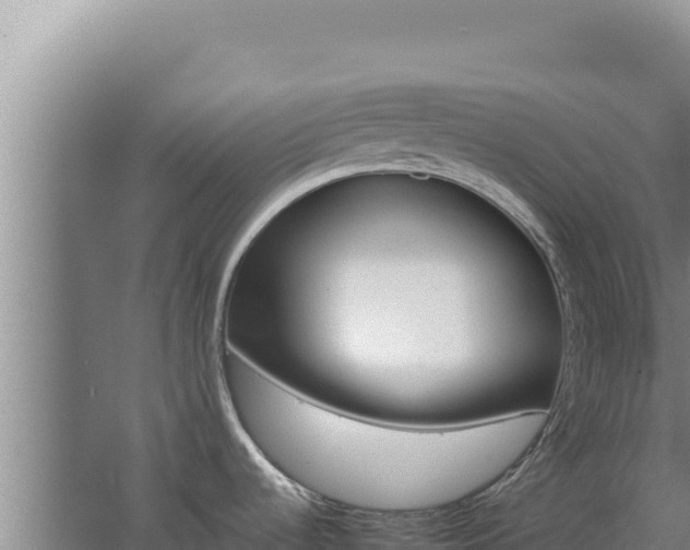 X0000062631536200512231000