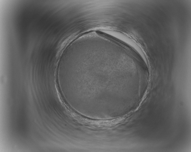 X0000062630001200512281607