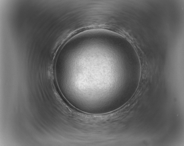 X0000062630002200512281607