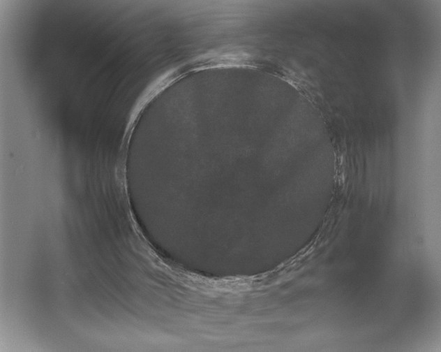 X0000062630004200512281607