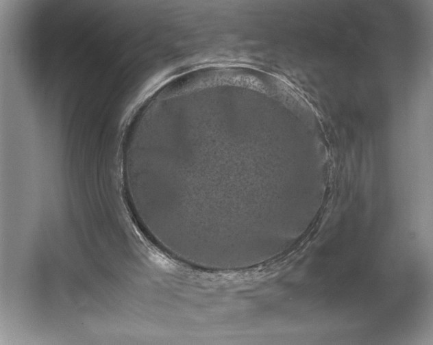 X0000062630005200512281607