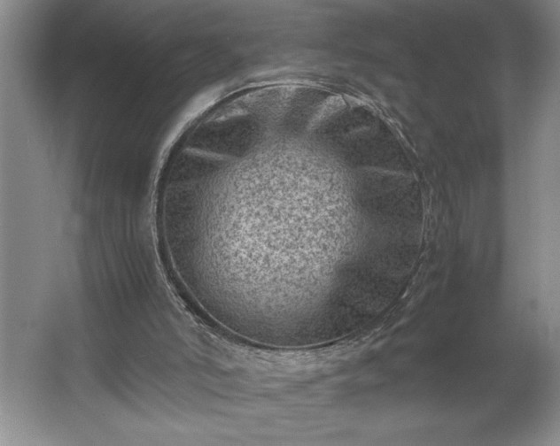 X0000062630006200512281607