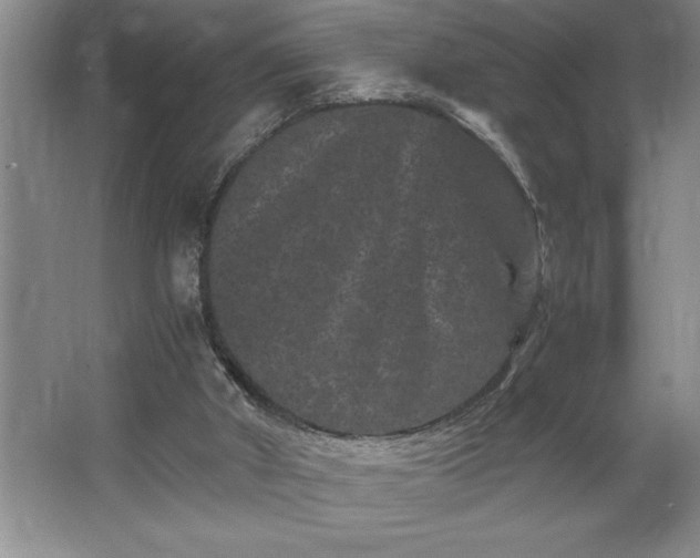 X0000062630010200512281607