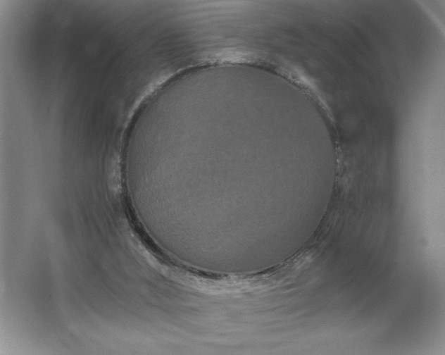 X0000062630012200512281607