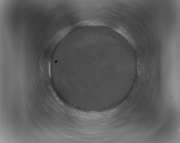 X0000062630014200512281607