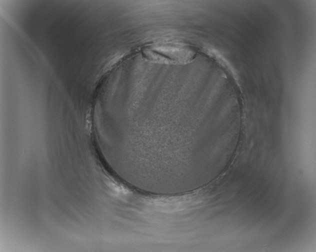 X0000062630017200512281607