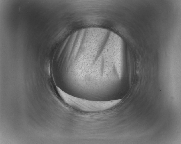 X0000062630021200512281607