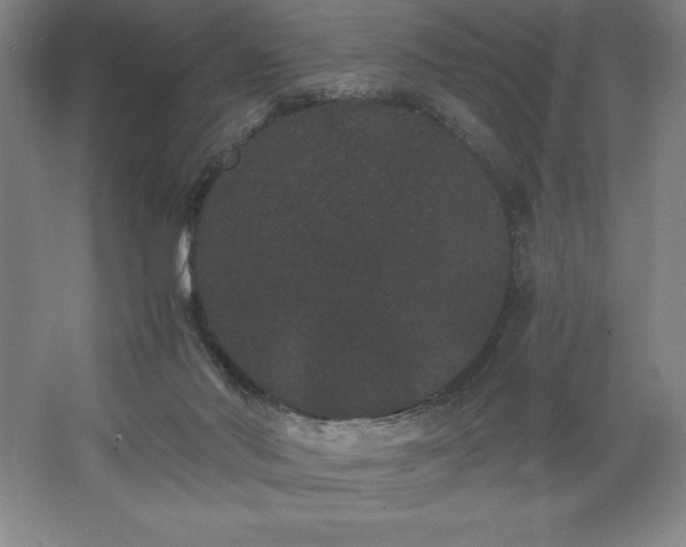 X0000062630022200512281607