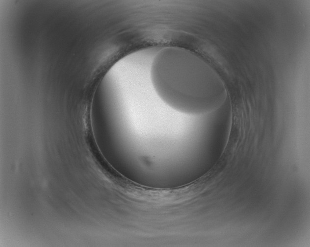 X0000062630023200512281607