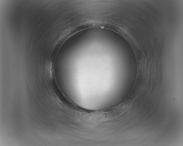 X0000062630024200512281607