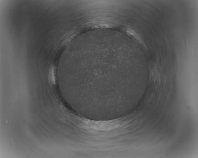 X0000062630026200512281607