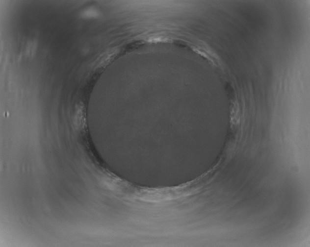 X0000062630029200512281607