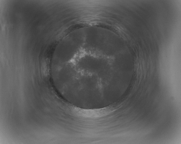 X0000062630030200512281607