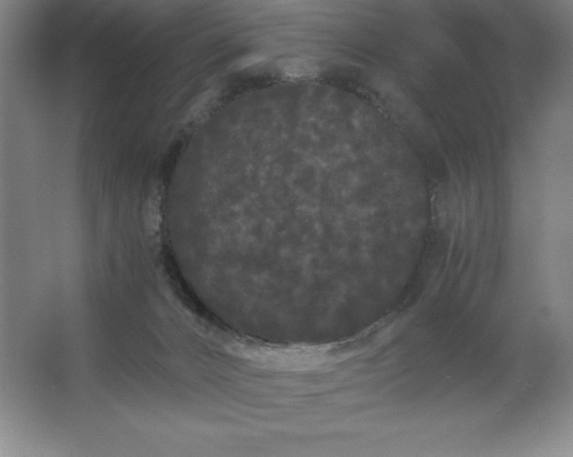 X0000062630032200512281607