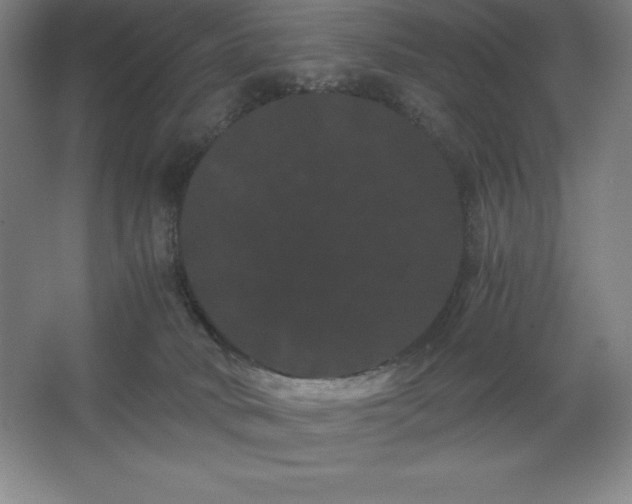 X0000062630034200512281607