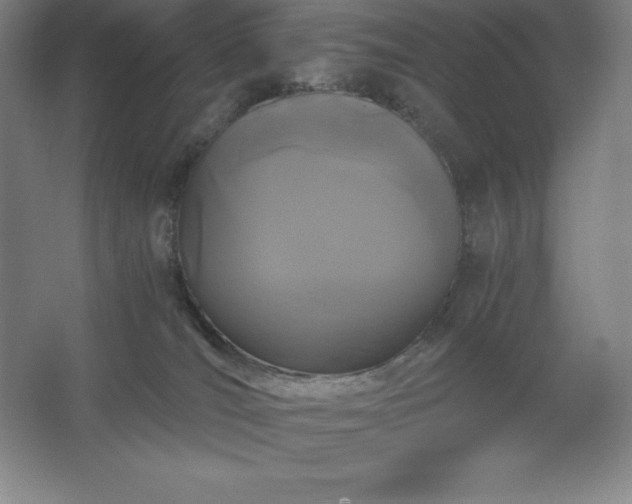 X0000062630036200512281607