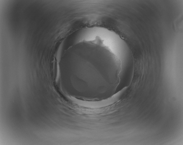 X0000062630039200512281607