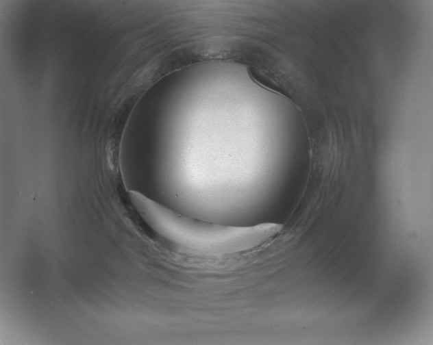 X0000062630044200512281607