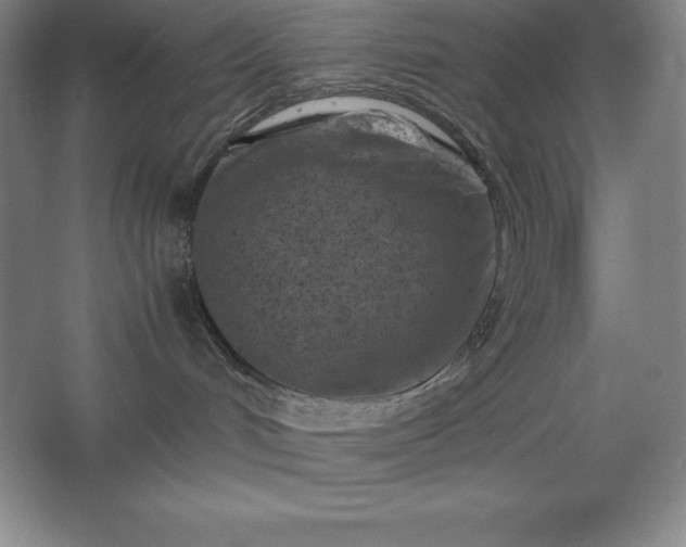 X0000062630048200512281606