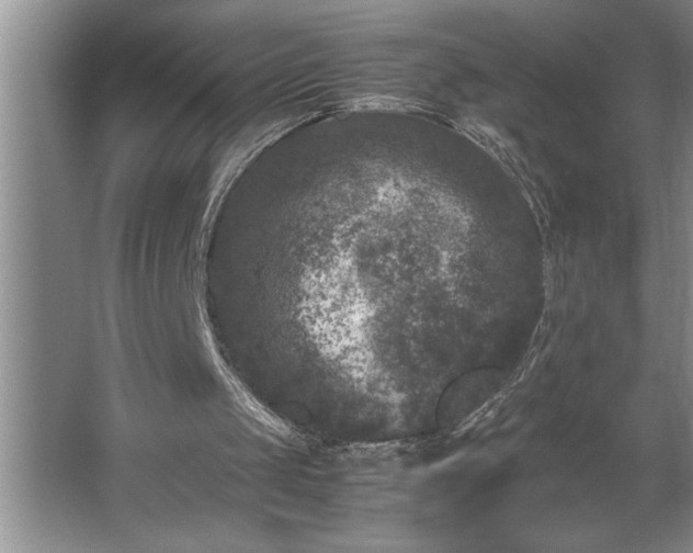 X0000062630049200512281606