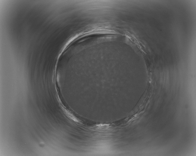 X0000062630052200512281606