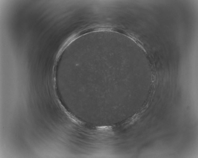 X0000062630053200512281606