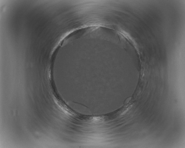 X0000062630060200512281606