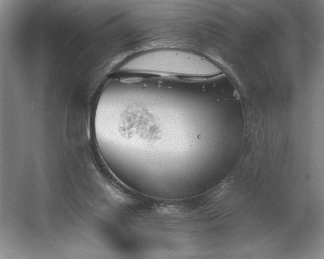 X0000062630062200512281606