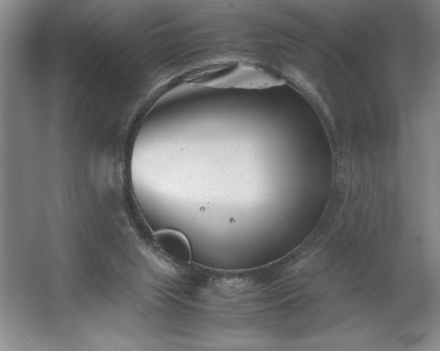 X0000062630063200512281606