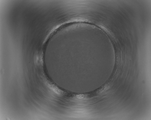 X0000062630064200512281606