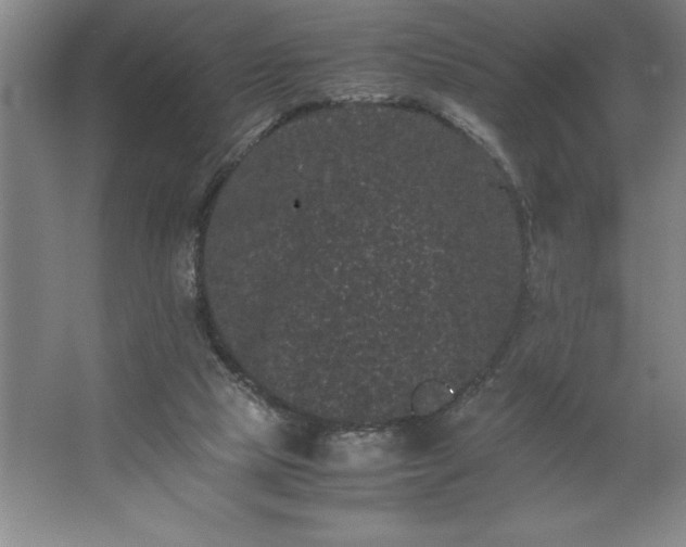 X0000062630065200512281606