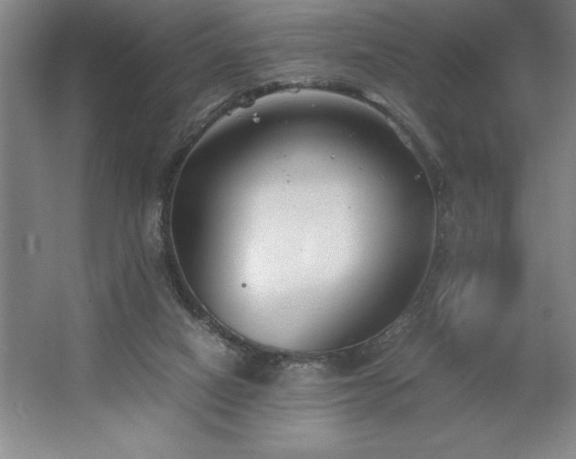 X0000062630066200512281606