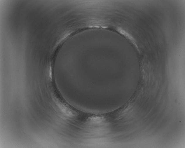 X0000062630067200512281606