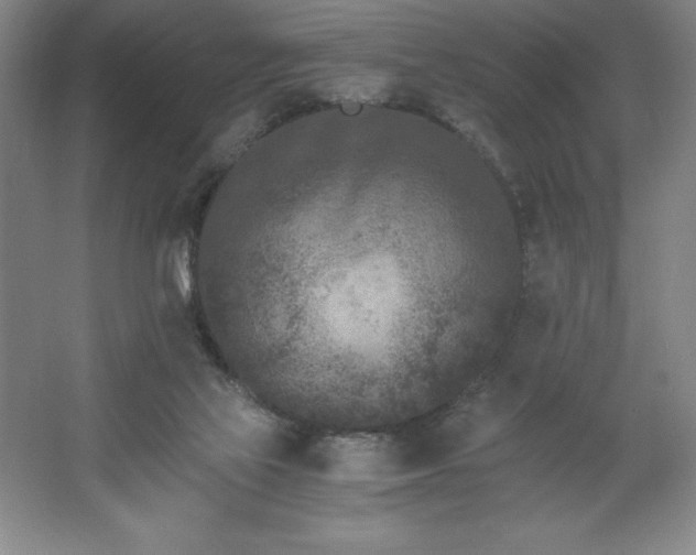 X0000062630069200512281606