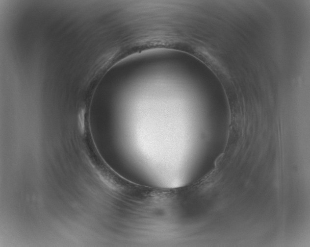 X0000062630070200512281606