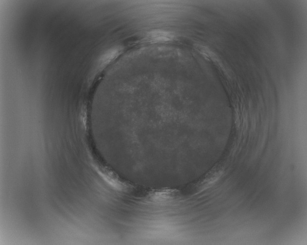 X0000062630072200512281606