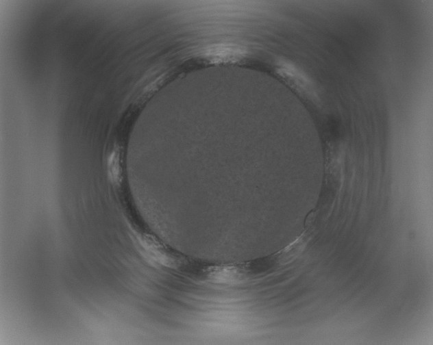 X0000062630074200512281606