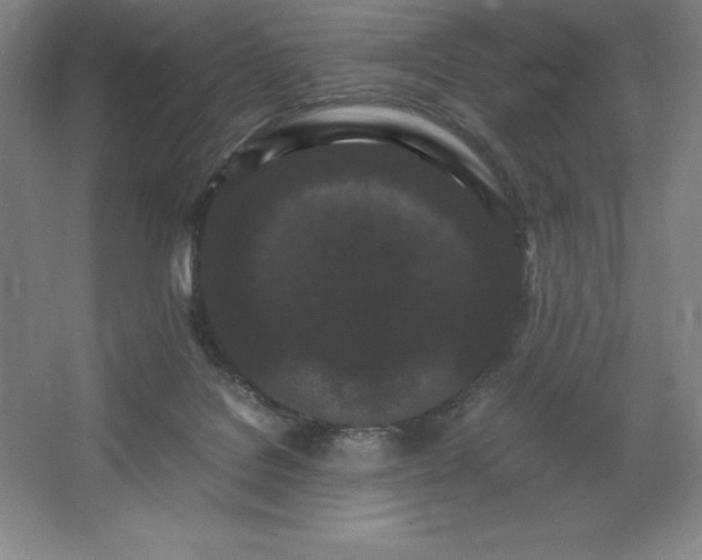 X0000062630076200512281606