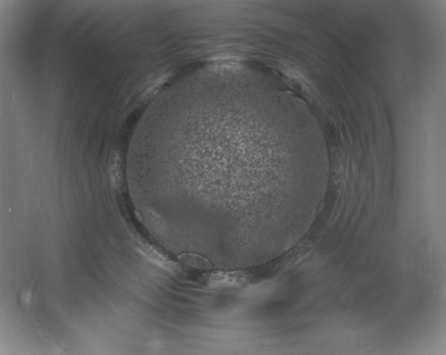 X0000062630077200512281606